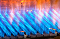 Llawnt gas fired boilers